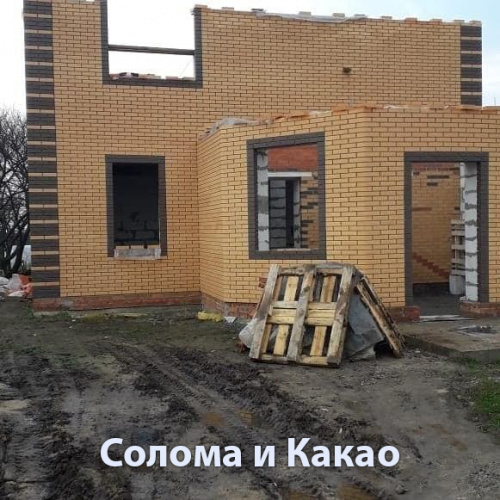 Облицовочный кирпич Terex одинарный 1 НФ Солома шале, М150-175